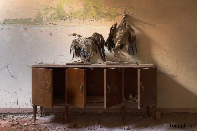 Urbex Italy: abandoned mansoin in the countryside